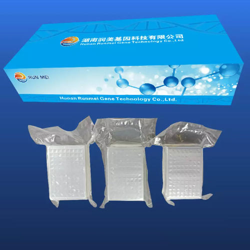 Kit de reactivos en solución - RM-D-M1001 - HUNAN RUNMEI GENE TECHNOLOGY CO.,LTD - de bolas magnéticas / clínico / para extracción de ADN