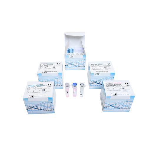 Kit de prueba QF-PCR - ChromoQuant Optima STaR - CyberGene AB - de enfermedades genéticas / para la aneuploidía / de trisomía fetal