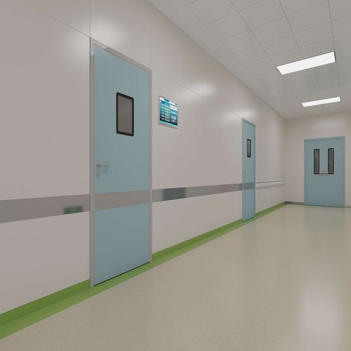 Puerta para sala blanca - Shenzhen Seacrown Electromechanical - abatible