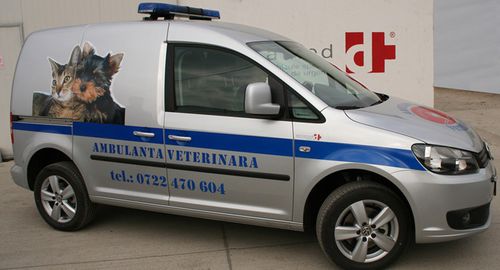 Ambulancia veterinaria - Volkswagen Caddy - DELTAMED SRL - furgoneta / 4x4