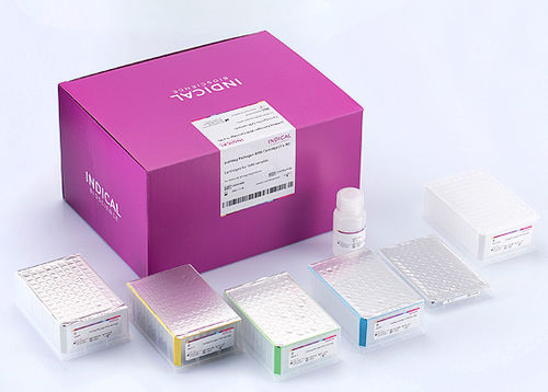 Kit de reactivos de laboratorio veterinario - IndiMag Pathogen KF96 Cartridge - INDICAL BIOSCIENCE GmbH - de bolas magnéticas / ácido nucleico / para extracción de ADN