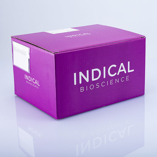Kit de prueba veterinario - IndiMag Mastitis Kit - INDICAL BIOSCIENCE GmbH - de mastitis / para extracción del ADN / para purificación del ADN