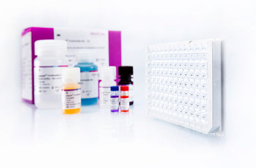 Kit de prueba veterinario - pigtype Trichinella Ab - INDICAL BIOSCIENCE GmbH - de tricomoniasis / para porcinos / para anticuerpos