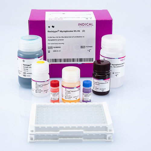 Kit de prueba veterinario - flocktype Mycoplasma Ms Ab - INDICAL BIOSCIENCE GmbH - para aves de corral / TMB / Mycoplasma
