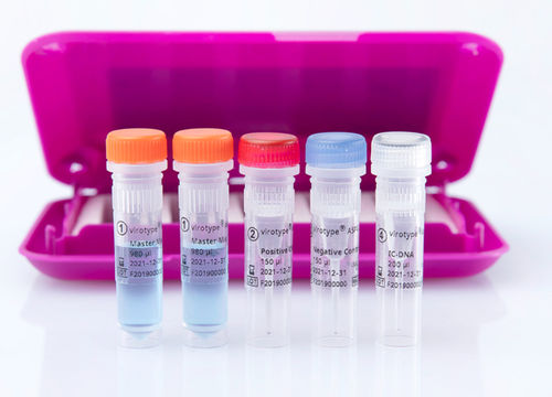 Kit de prueba veterinario - virotype ASFV 2.0 PCR Kit - INDICAL BIOSCIENCE GmbH - para enfermermedades infecciosas / para porcinos / para ADN