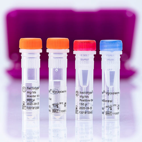 Kit de prueba veterinario - bactotype Mycoplasma Mg/Ms PCR Kit - INDICAL BIOSCIENCE GmbH - para extracción del ADN / para aves de corral / Mycoplasma