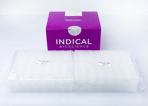 Microplaca veterinaria - IndiMag 48 PW 24-Sample Block - INDICAL BIOSCIENCE GmbH - para almacenamiento de muestras / de 96 orificios / desechable