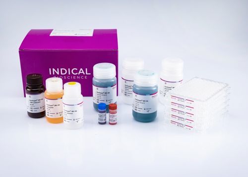 Kit de prueba veterinario - flocktype IBV Ab - INDICAL BIOSCIENCE GmbH - para aves de corral / para anticuerpos / TMB