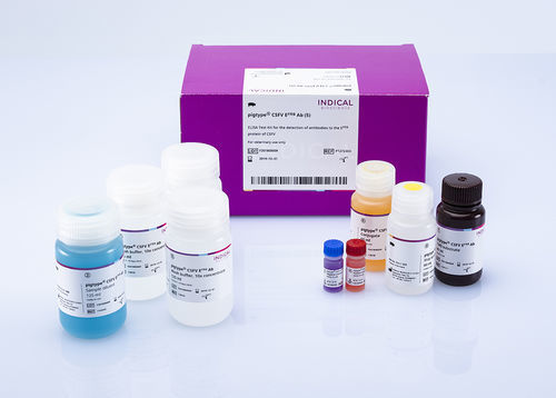 Kit de prueba veterinario - pigtype CSFV Erns Ab - INDICAL BIOSCIENCE GmbH - para porcinos / TMB / para virus