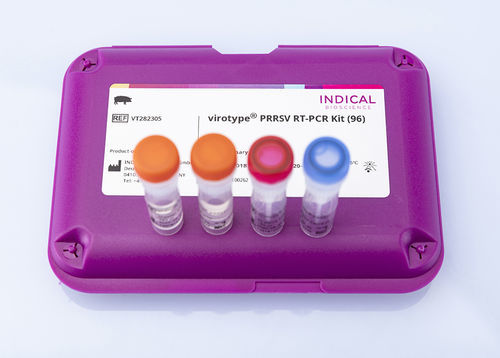 Kit de prueba veterinario - virotype PRRSV RT-PCR Kit - INDICAL BIOSCIENCE GmbH - de enfermedades respiratorias / para porcinos / de virus respiratorio sincitial