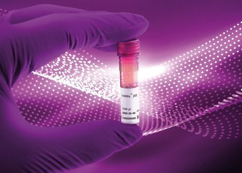 Reactivo de laboratorio veterinario - IndiMix JOE - INDICAL BIOSCIENCE GmbH - enzima / solución tampón / retrotranscriptasa