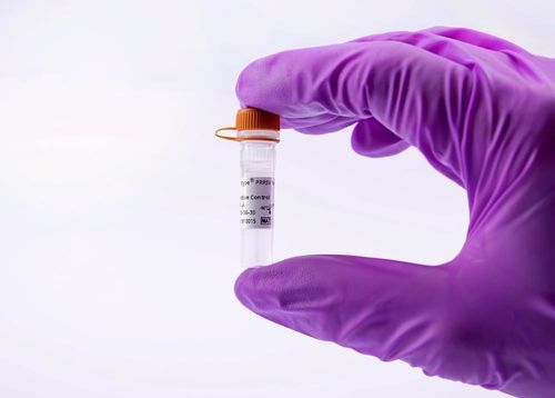 Reactivo de laboratorio veterinario - virotype PRRSV PRO Positive Control - INDICAL BIOSCIENCE GmbH - estándar / para la investigación / para qPCR