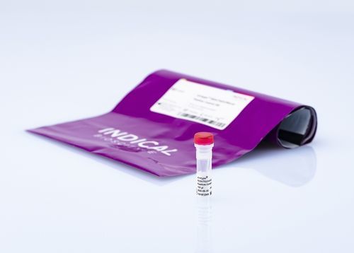 Reactivo de laboratorio veterinario - virotype PEDV/TGEV/PDCoV Positive Control - INDICAL BIOSCIENCE GmbH - en solución / para la investigación / para extracción de ARN