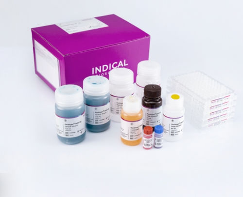 Kit de prueba veterinario - flocktype NDV Ab - INDICAL BIOSCIENCE GmbH - de la enfermedad de Newcastle / para aves de corral / TMB