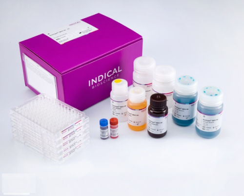 Kit de prueba veterinario - flocktype IBDV Ab - INDICAL BIOSCIENCE GmbH - de bursitis infecciosa / para aves de corral / para virus