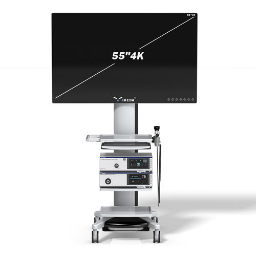 Cámara para endoscopio - YKD-9211 - AKX - médica / quirúrgica / digital