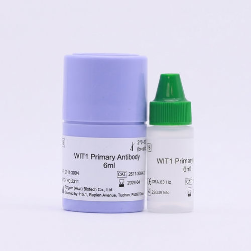 Reactivo anticuerpos - Beijing Strong Biotechnologies, Inc - de patología / de tejidos FFPE / para inmunohistoquímica