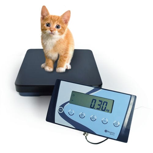 Balanza veterinaria electrónica - APS - BAXTRAN - plataforma / de columna / con indicador separado