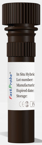 Reactivo solución de coloración -  CL-004 - Wuhan HealthCare Biotechnology Co., Ltd. - para histologia / de hibridación / para cultivos celulares