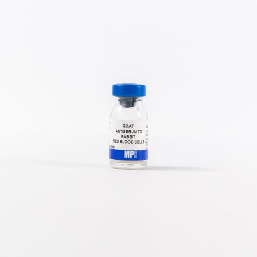 Reactivo antisuero - 0855616 - MP Biomedicals - para la investigación / de diagnóstico / de tejidos