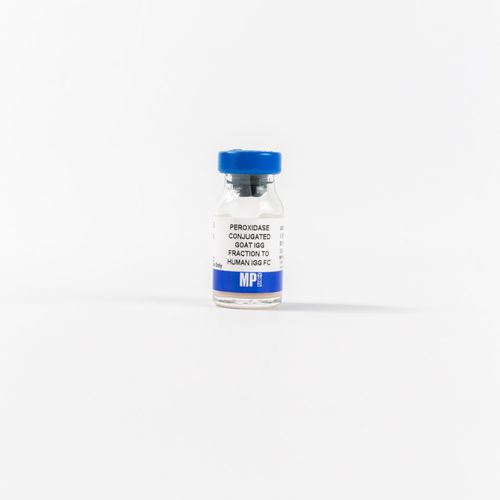 Reactivo de IgG - 0855226 - MP Biomedicals - enzima / anticuerpos / para la investigación