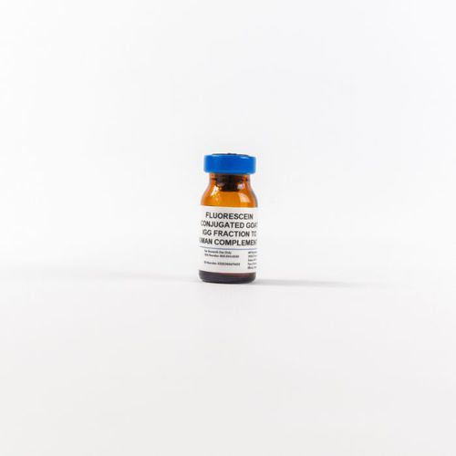 Reactivo de IgG - 0855167 - MP Biomedicals - anticuerpos / para ELISA / de tejidos