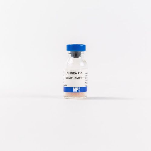 Reactivo de proteínas - 0855854 - MP Biomedicals - de suero / para la investigación / liofilizado