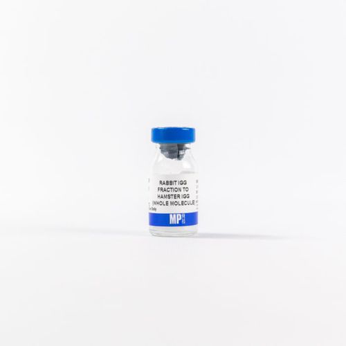 Reactivo de proteínas - 0855398 - MP Biomedicals - enzima / anticuerpos / para la investigación