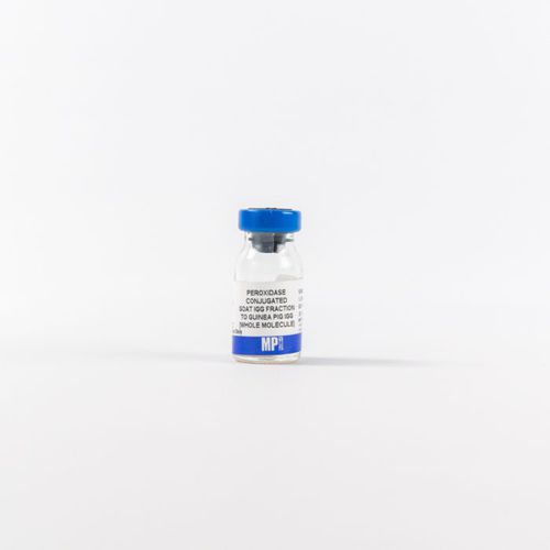 Reactivo de IgG - 0855391 - MP Biomedicals - enzima / anticuerpos / para la investigación