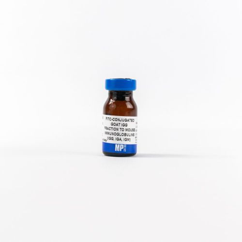 Reactivo de IgG - 0855499 - MP Biomedicals - anticuerpos / para la investigación / para inmunohistoquímica