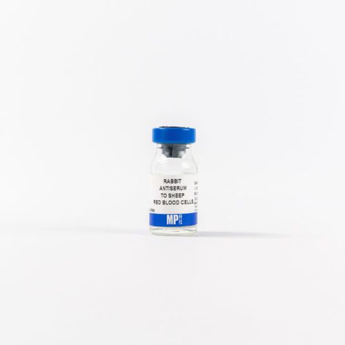 Reactivo proteína total - 0855800 - MP Biomedicals - anticuerpo policlonal / para la investigación / de tejidos