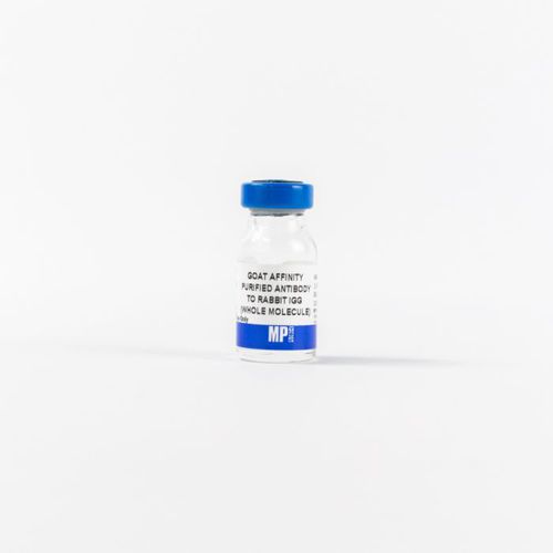 Reactivo de IgG - 0855641 - MP Biomedicals - anticuerpos / enzima / para la investigación