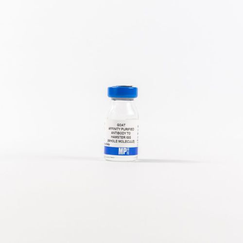Reactivo de IgG - 0856984 - MP Biomedicals - anticuerpos / para la investigación / de tejidos