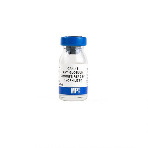Reactivo de IgG - 08646352 - MP Biomedicals - anticuerpos / de suero / para la investigación