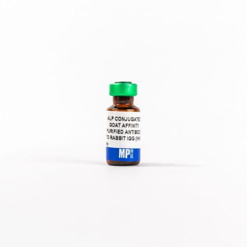 Reactivo de IgG - 0859298 - MP Biomedicals - anticuerpos / para la investigación / de tejidos