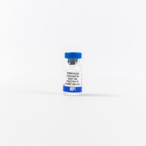Reactivo de IgG - 0855676 - MP Biomedicals - de suero / suero de cabra / antisuero