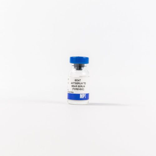 Reactivo de proteínas - 0856009 - MP Biomedicals - anticuerpos / antisuero / para la investigación