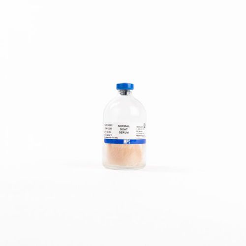 Reactivo anticuerpos - 08642921 - MP Biomedicals - suero de cabra / albúmina de suero bovino / para la investigación