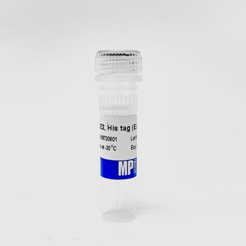 Reactivo de proteínas - 0872060-CF - MP Biomedicals - medio reactivo / para la investigación / Escherichia coli