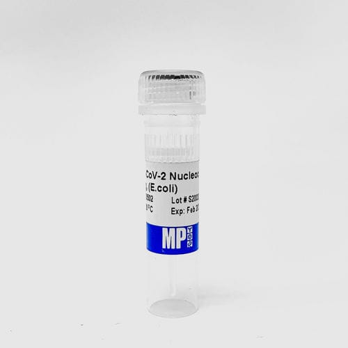 Reactivo de proteínas - 0872050-CF - MP Biomedicals - medio reactivo / para la investigación / SARS-COV-2