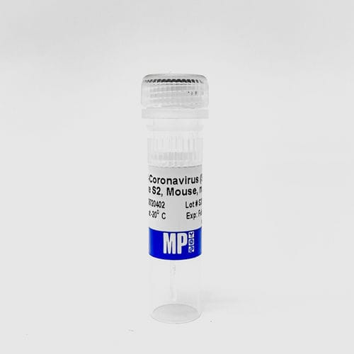 Reactivo de proteínas - 08720402 - MP Biomedicals - anticuerpos / anticuerpo monoclonal / para la investigación