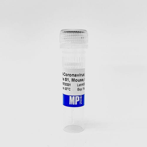 Reactivo de proteínas - 08720301 - MP Biomedicals - anticuerpos / anticuerpo monoclonal / para la investigación