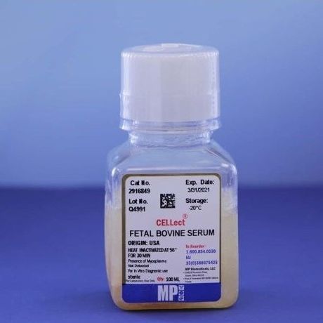 Reactivo suero fetal bovino - 0929168-CF - MP Biomedicals - para cultivos celulares / para la investigación / líquido