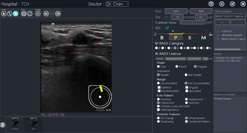 Software para informes - BR-FHUS Viewer™ - TaiHao Medical - visualizador / de diagnóstico / para detección del cáncer de mama