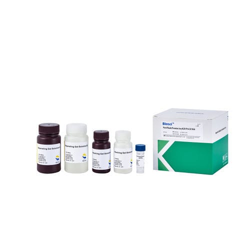 Reactivo para western blot - BioSci™  - Dakewe (Shenzhen) Medical Equipment Co., Ltd. - en solución / para la investigación / de proteínas