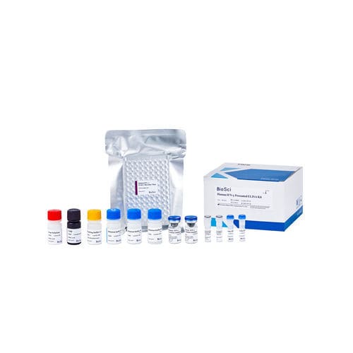 kit de prueba para la investigación - Dakewe (Shenzhen) Medical Equipment Co., Ltd.