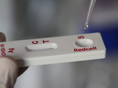 Prueba rápida para COVID-19 - RCCOVST   - Redcell Biotechnology - para anticuerpos / SARS-COV-2 / nasal