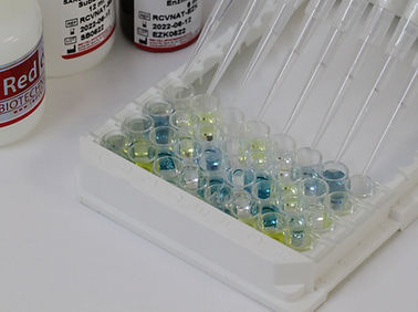 Kit ELISA - Redcell Biotechnology - para COVID-19 / de inmunidad / de anticuerpos neutralizantes