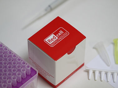 Kit de reactivos en solución - Redcell Biotechnology - de RT-qPCR / SARS-COV-2