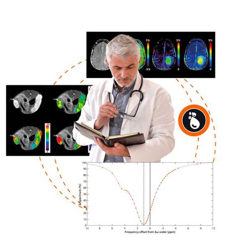 Software de análisis - APT CEST MRI V.1.0 - Olea Medical - de postprocesamiento / de cartografía / médico